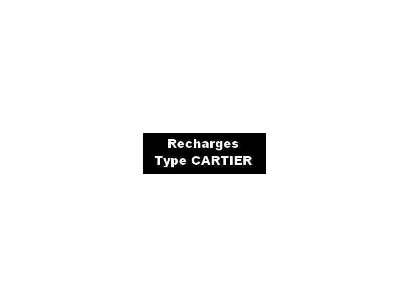 RECHARGES STYLOS CARTIER